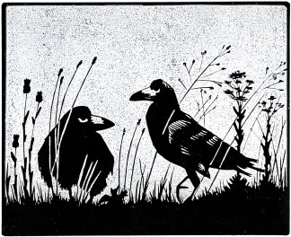 black and white linocut showing a pair of rooks standing amongst grass stalks