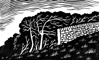 black and white linocut showing trees bending in the wind next to a dry stone wall
