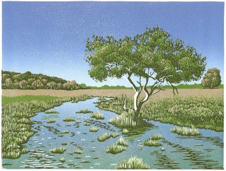 Penny Moor - New Forest