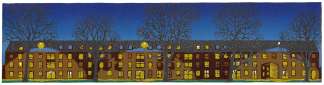 A row of trees is silhouetted against a block of flats at night with windows lit in yellow and streetlights