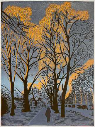 A view down a footpath between trees. The tree trunks are dark but the higher branches are lit with a bright yellow light.
