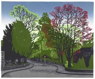 A street surrounded by trees with red and green leaves