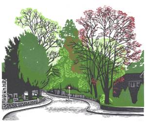 A street surrounded by trees with red and green leaves