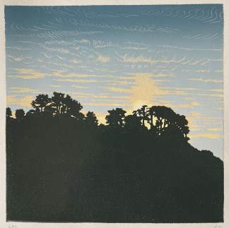 Trees on a hillside silhouetted against a setting sun