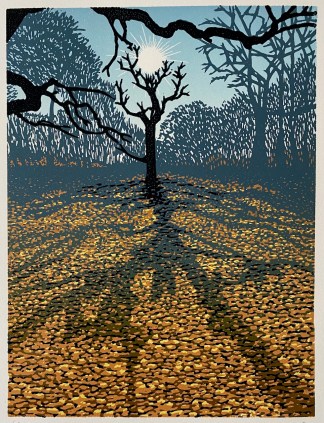 Sun shining through bare trees casting long shadows