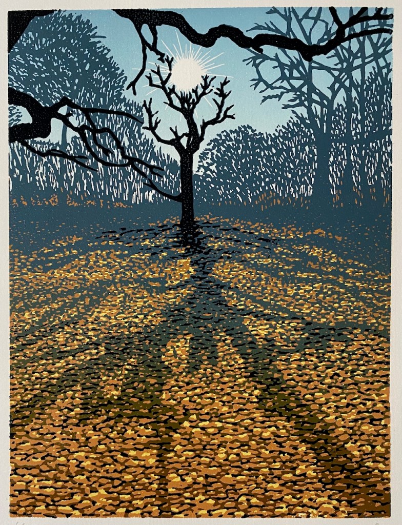 Sun shining through bare trees casting long shadows