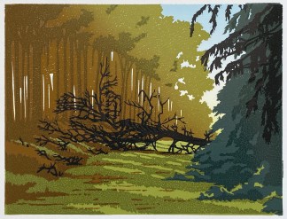 A view of a grass path between brown deciduous trees on the left and dark green conifers on the right. A fallen tree blocks the path.